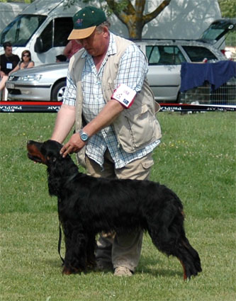 cilgerran Freelance