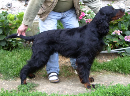 Axee Du val de chauffour